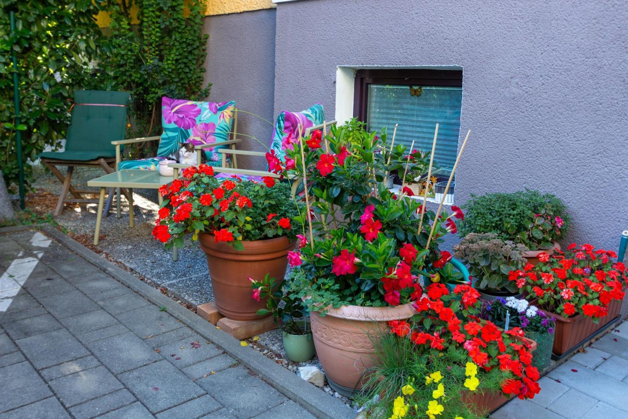 Benjamins Refugium Daire Salzburg Dış mekan fotoğraf